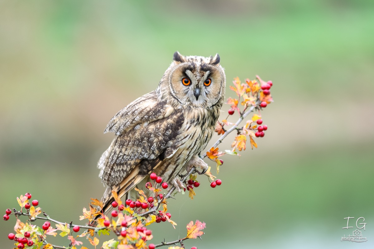 20211023 AK6I9974 insta